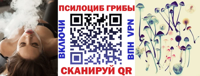 купить   Советская Гавань  Галлюциногенные грибы MAGIC MUSHROOMS 